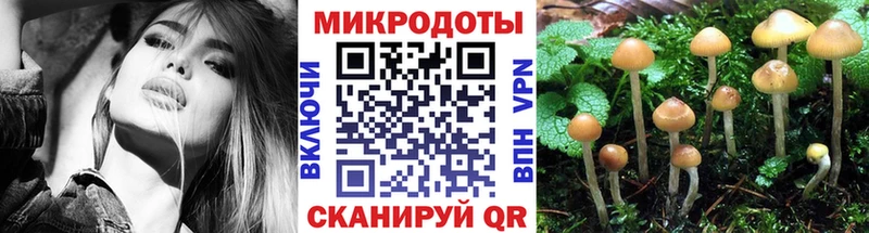 дарнет шоп  Шебекино  Псилоцибиновые грибы Cubensis 
