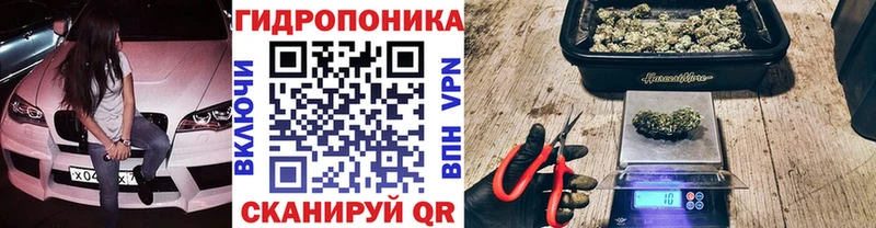 Конопля Bruce Banner  Шебекино 